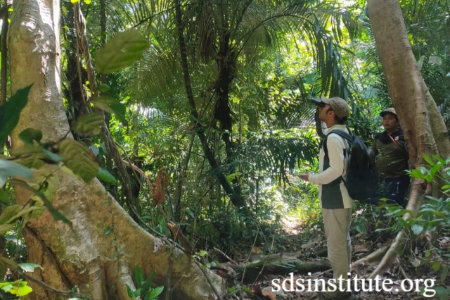 Kurikulum Konservasi Hutan Lindung Menumbuhkan Jiwa Penjaga Alam Guna Mencegah Kerusakan Ekosistem Lokal